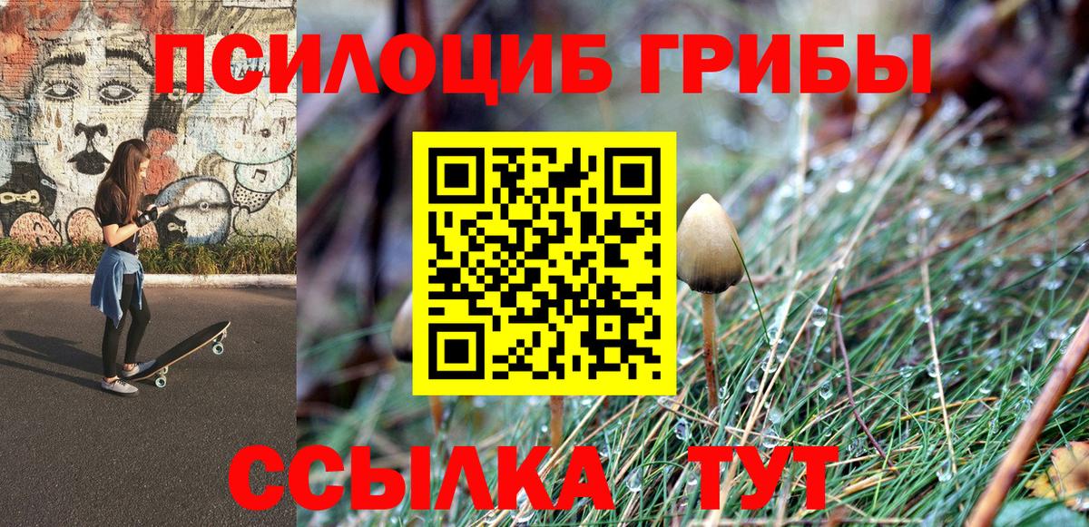 Псилоцибиновые грибы мицелий  Вход с VPN  Унеча 
