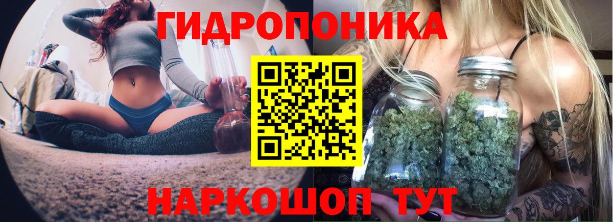 Бошки Шишки марихуана  Вход с VPN  Унеча  Конопля ГИДРОПОН  МАРИХУАНА ГИДРОПОН 
